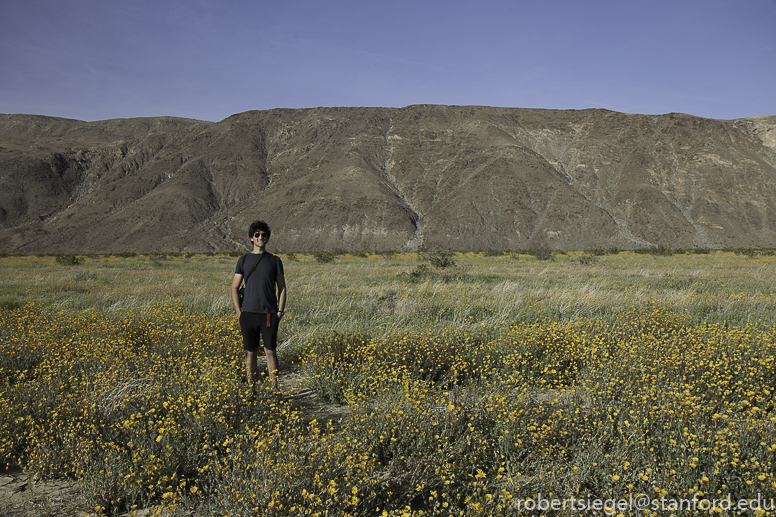 Anza Borrego